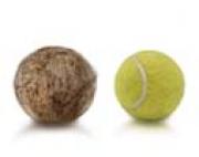 Tennisboll Kanin