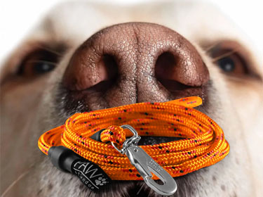 Koppel m hake - Nosework