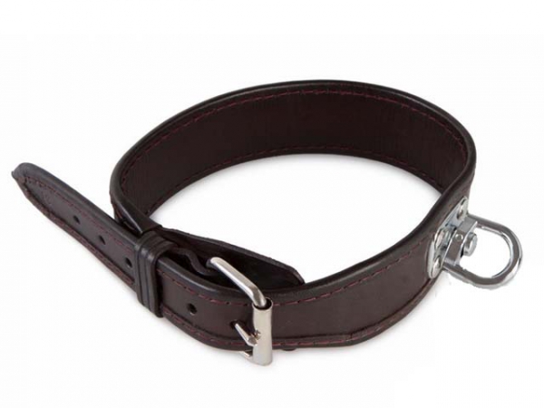 Sprhalsband Deluxe 35 cm i gruppen Jakt / Sprlinor m.m / Sprhalsband hos PAW of Sweden AB (10935)