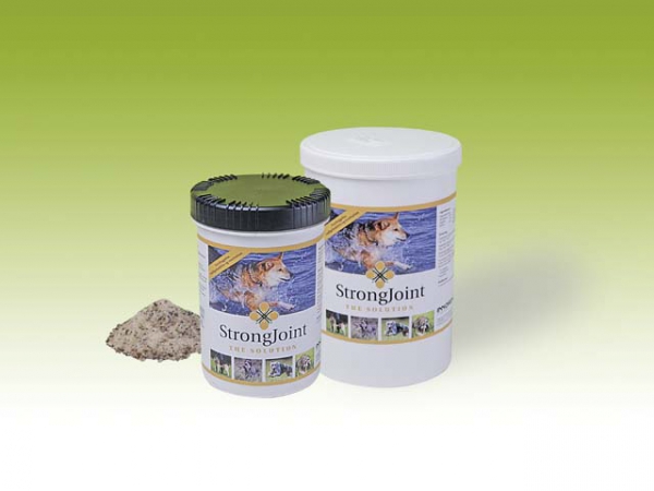 StrongJoint 500g i gruppen  hos PAW of Sweden AB (3013)