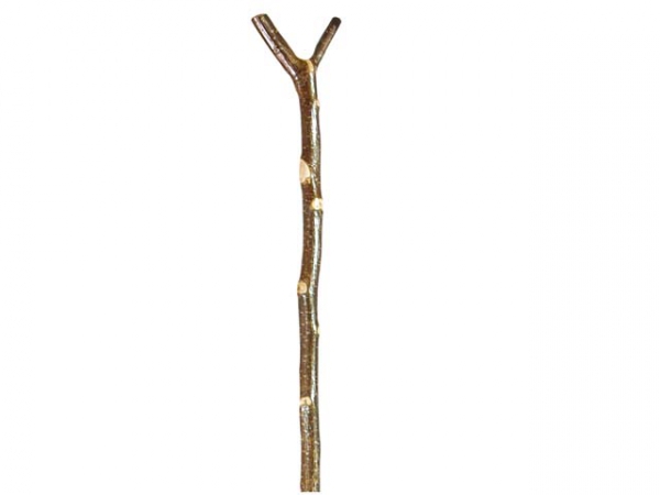 Hazel short thumbstick i gruppen vr. produkter / Walking sticks hos PAW of Sweden AB (3545)