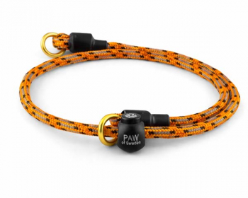 Dressyrhalsband Reflex i gruppen Tr�ning / Halsband / Dressyrhalsband hos PAW of Sweden AB (103)