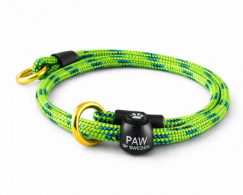 Dressyrhalsband Trial   i gruppen Tr�ning / Halsband / Dressyrhalsband hos PAW of Sweden AB (104)