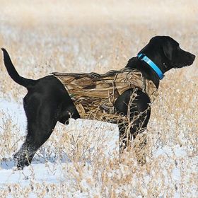 Dokken Supervest Xtreme 