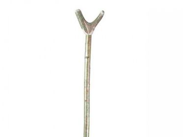 Antler thumbstick on hazel shaft