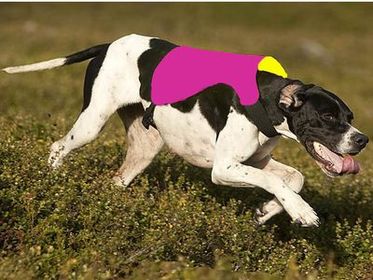 Markerings- och signaltcke cerise/gul