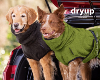 Dry-up BAMBOO XS-2XL i gruppen Hunden / Tcken/Vstar/Skydd m.m  / Dry-up BAMBOO hos PAW of Sweden AB (FFD9007)