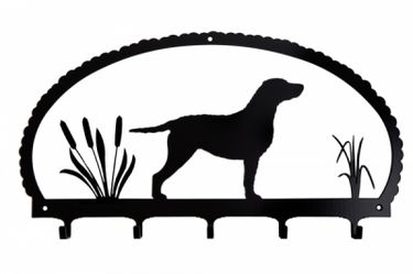 Hngare Curly Coated Retriever