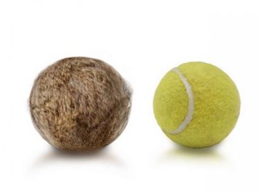 Tennisboll Kanin
