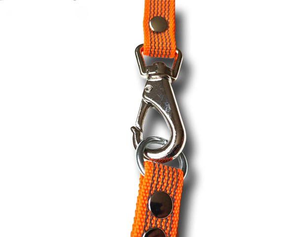 PAW of Sweden�s B�ltesh�llare Optimal