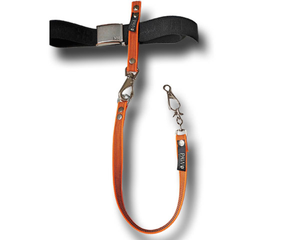 PAW of Sweden�s B�ltesh�llare Optimal