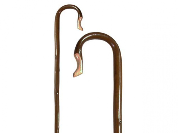 Chestnut Shepherd's Crook with bark