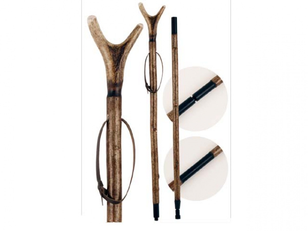 Staghorn Thumbstick on hazel, tv�delad