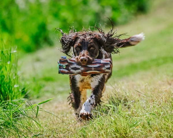 Partridge Dummy 500g