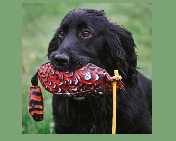 Pheasant Bird Dummy 500g