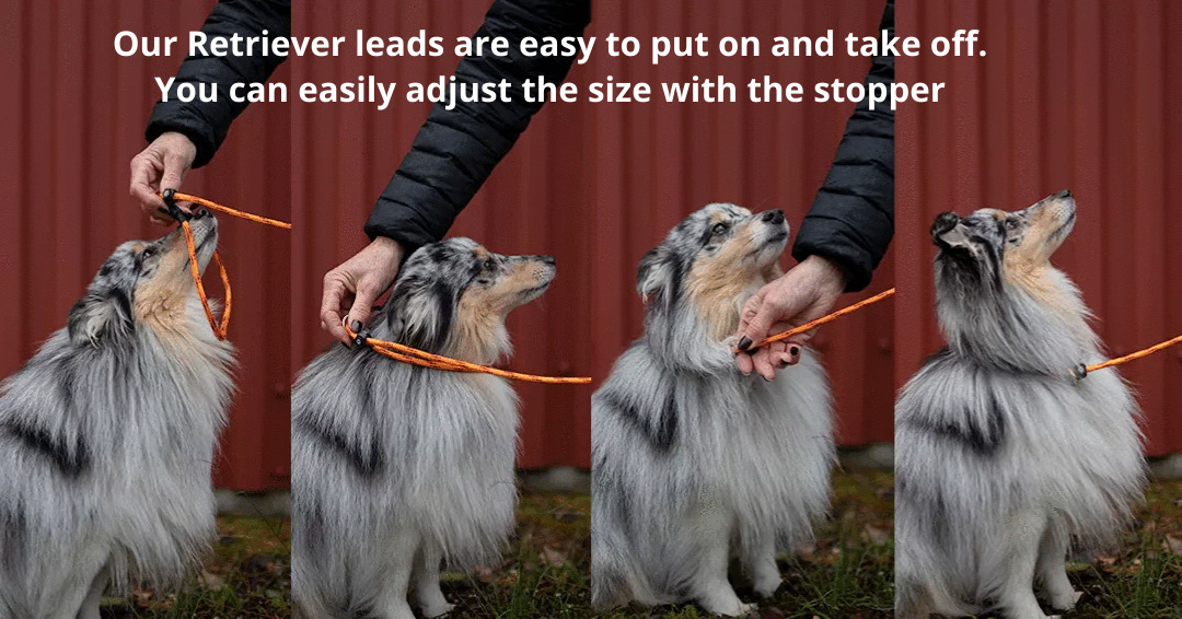 Extra koppel del till Retrieverkoppel Duo Trial 130 cm