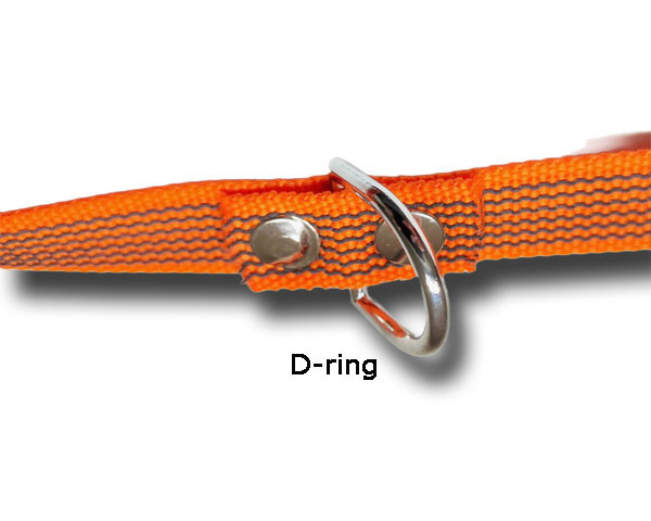 PAW of Sweden�s Sp�rlina Optimal 10 m