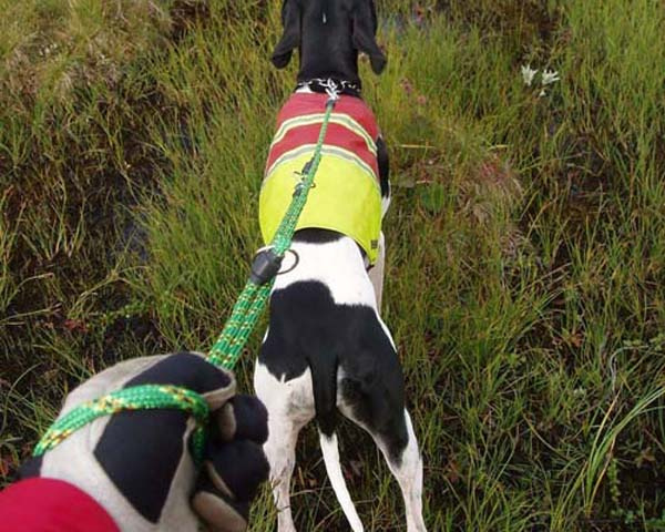 J�garkoppel/Multikoppel Reflex