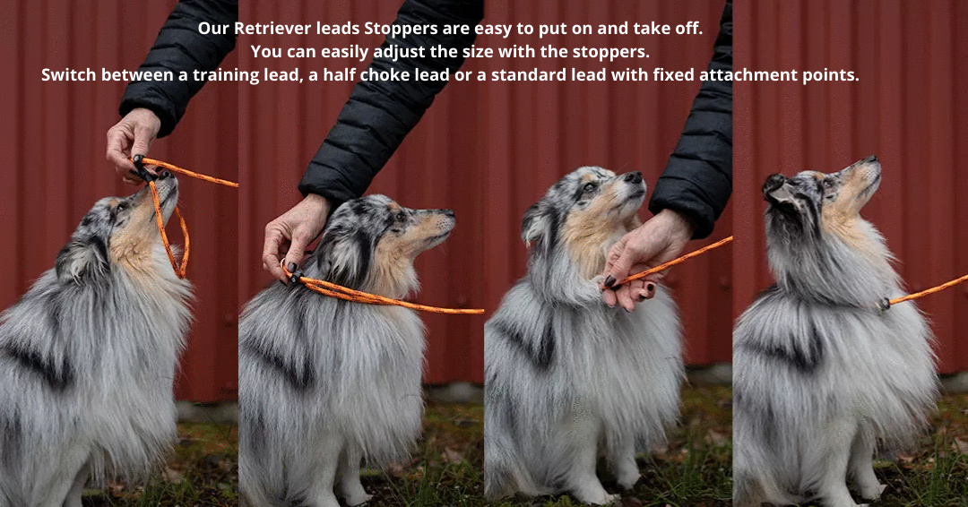 Koppel Show Golden Collection Stoppers 110 cm