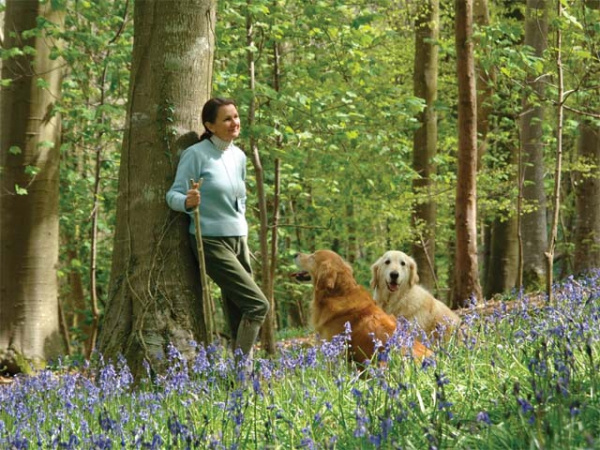 Chestnut thumbstick  - Natural bark finish