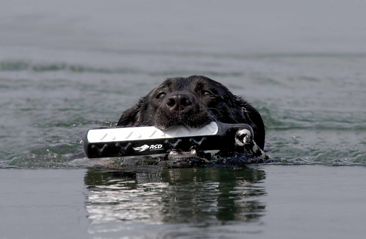 Vattendummy Hexa Bumper 200g orange