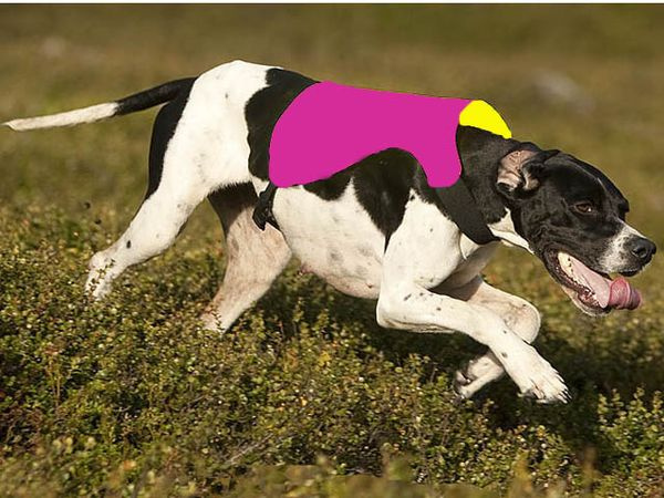 Markerings- och signalt�cke cerise/gul