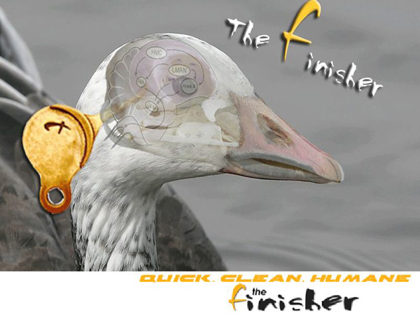 The Feathered Finisher�