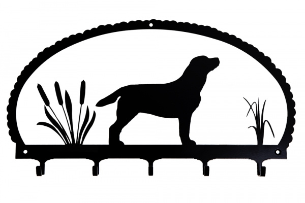 H�ngare Labrador Retriever
