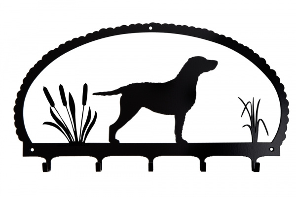 H�ngare Curly Coated Retriever