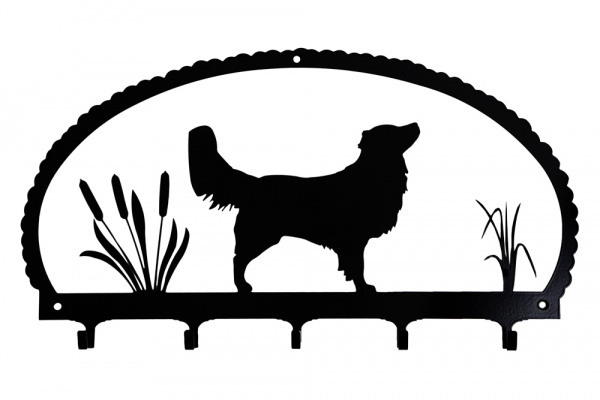 H�ngare Nova Scotia Duck Tolling Retriever