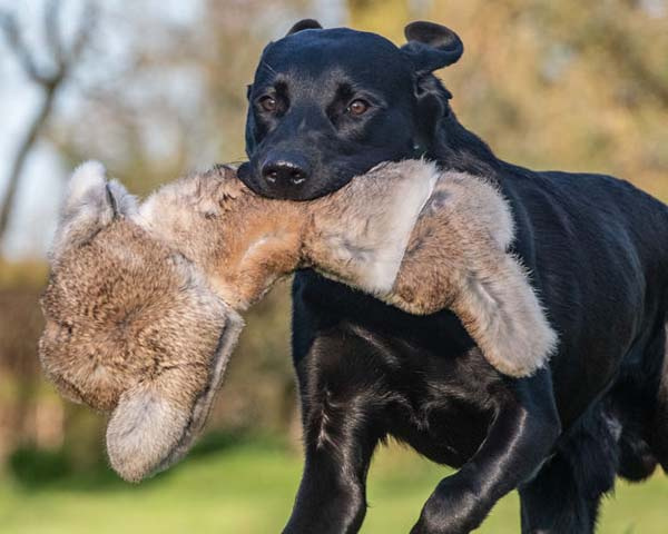 Kanin Realistisk 700g